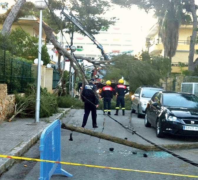 El vendaval deja un reguero de incidentes