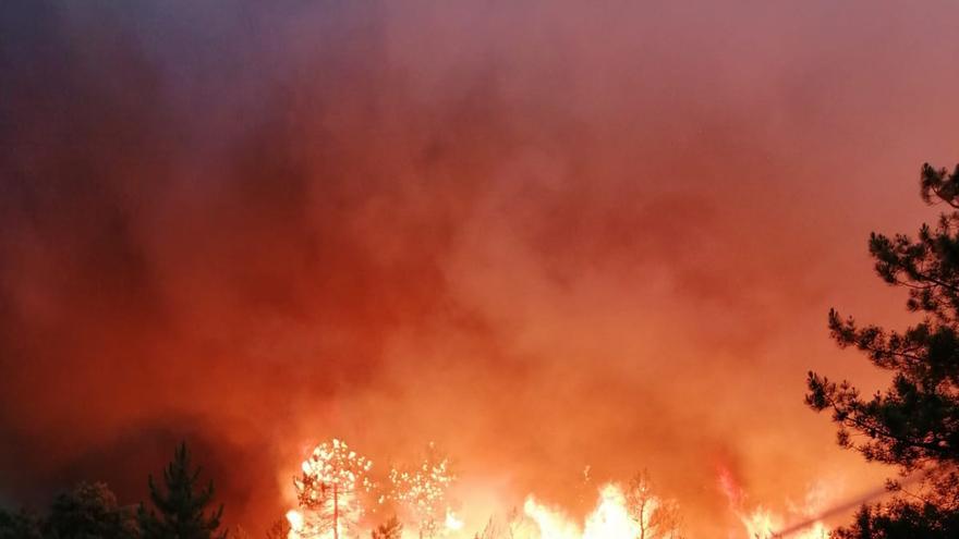 Incendios en Zamora: se declara el Nivel 2 de alerta y la UME acude al incendio de Aliste