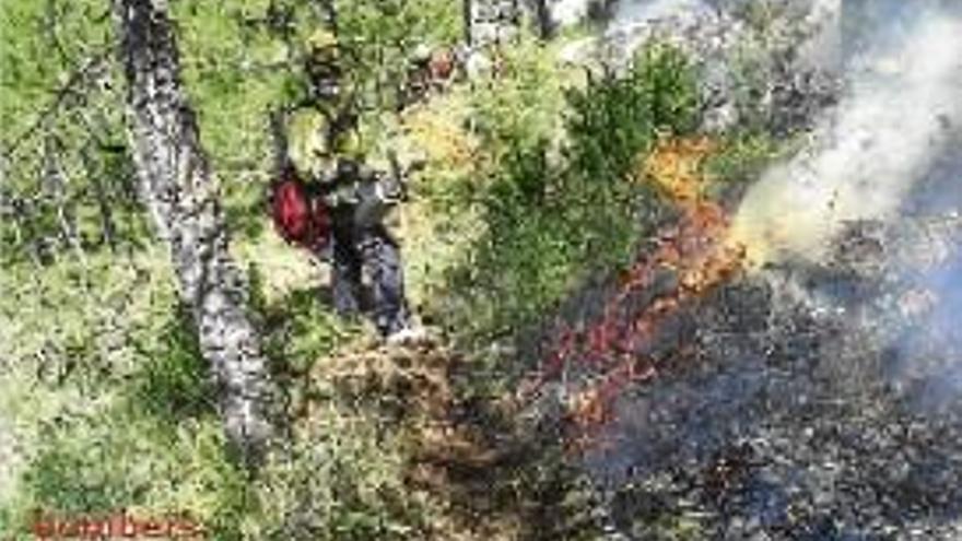 Cremen controladament tres hectàrees de sotabosc a Navès