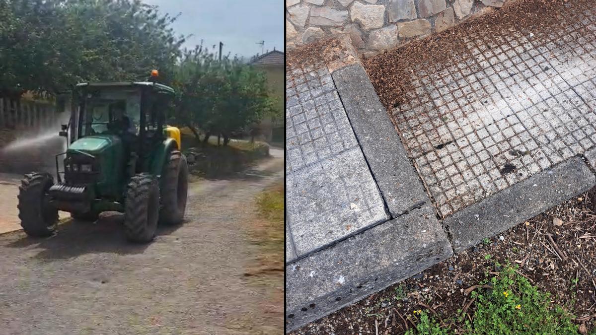 Tineo planta cara a la plaga de gusanos soldados que invade Folgueras de Cornás