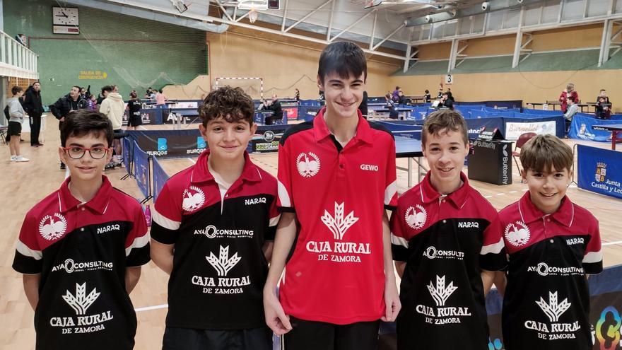 Tres medallas para la Academia Caja Rural de Tenis de Mesa en los clasificatorios pre-estatales