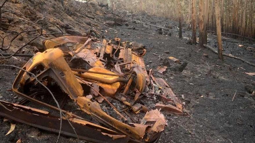 Restos de un coche calcinado, en un terreno lleno de ceniza. // N.P.