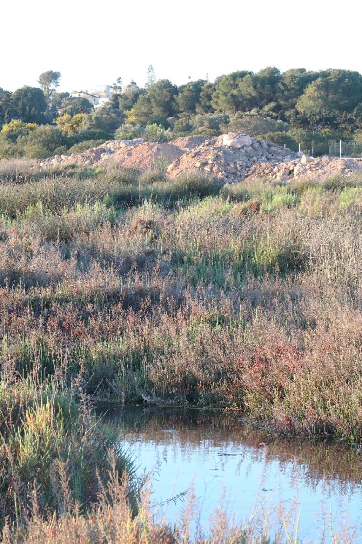 Imagen de uno de los vertidos junto al saladar y la propia laguna de Torrevieja