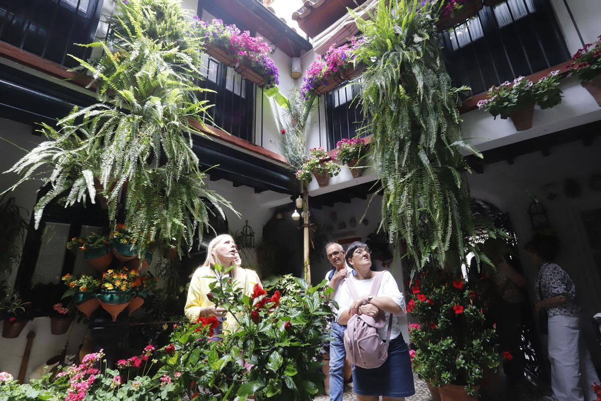 Patio de la calle Maese Luis 22