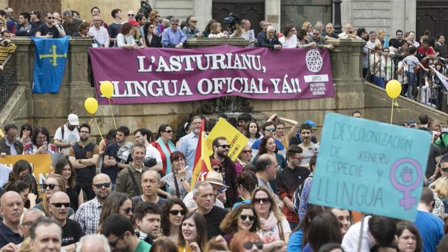 Imagen de una manifestación en defensa de la oficialidad