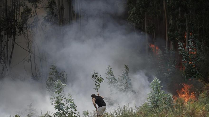 Los remedios de los vecinos de la periferia de A Coruña ante los incendios que prenden cerca de sus casas: de bosques autóctonos a una brigada especial