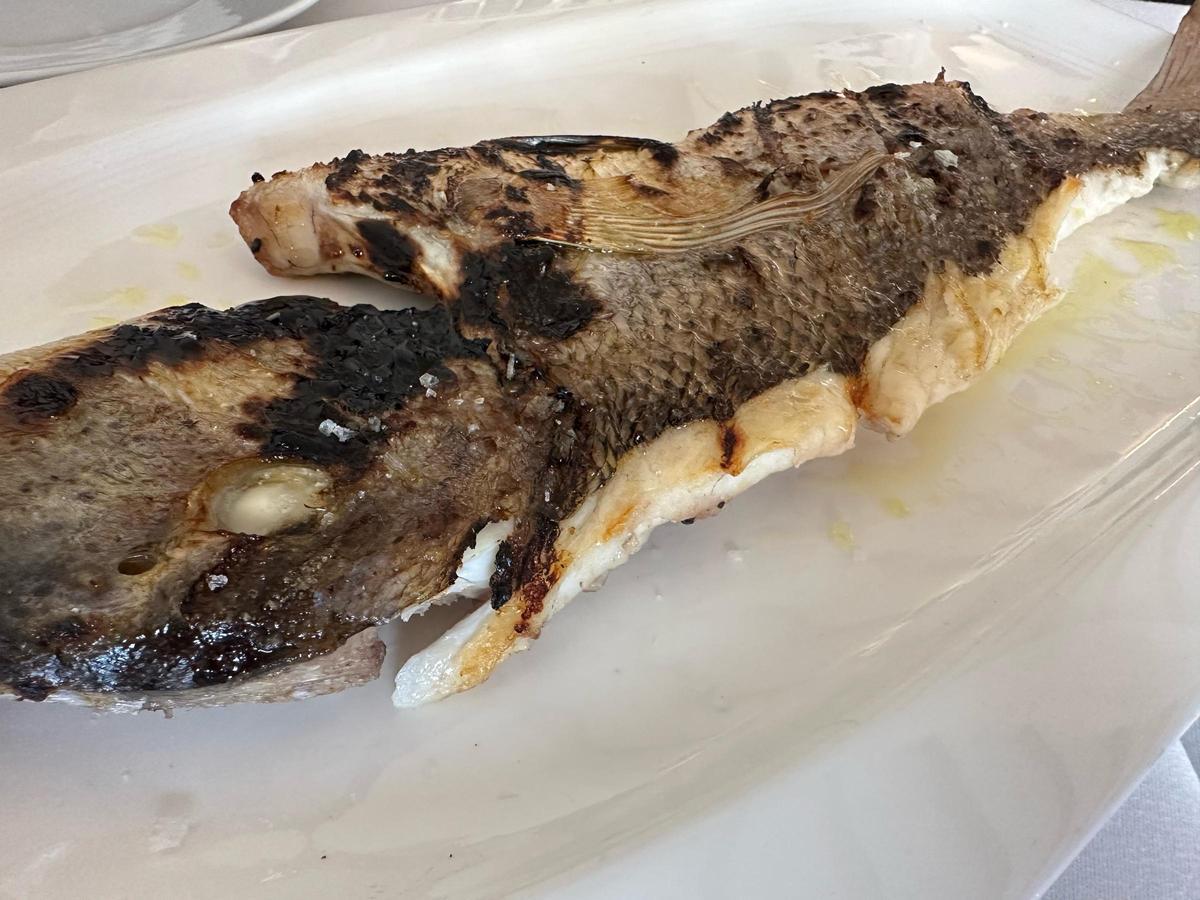 Dentón a la brasa