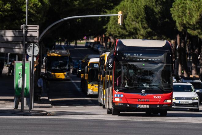 Aquí estarán las nuevas paradas de autobús en la Diagonal de Barcelona  Mapa