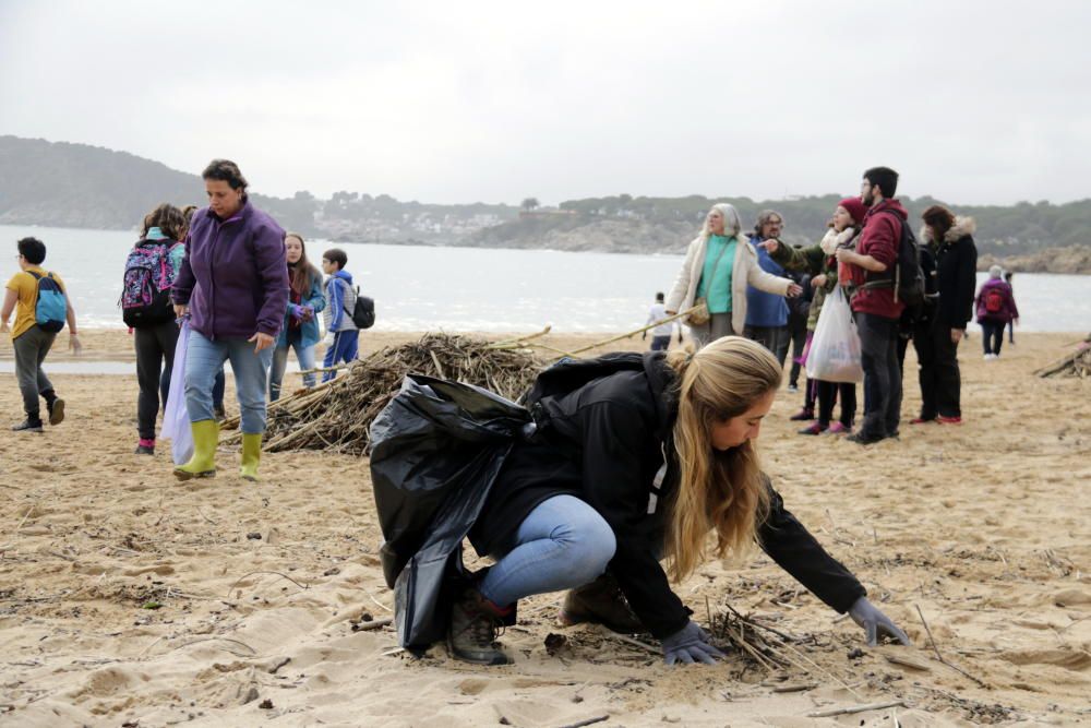 Un centenar de voluntaris recullen deixalles i apilen canyes a les platges de Palamós després del temporal