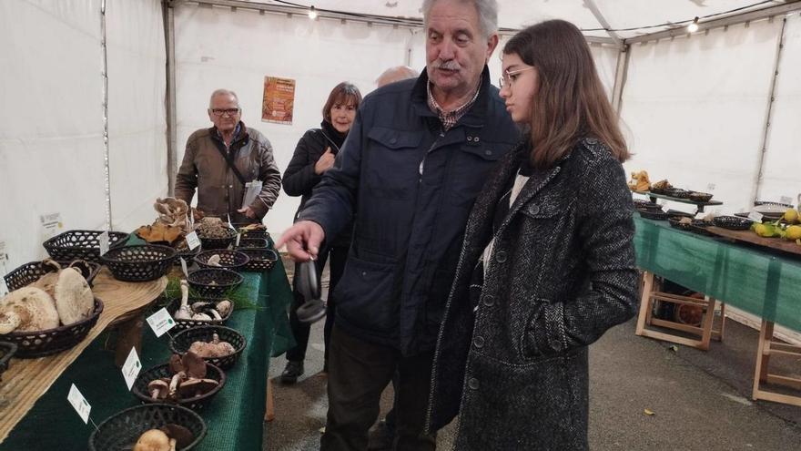 José Marcos muestra a su nieta Inés una de las variedades de setas. | M. Á. G,