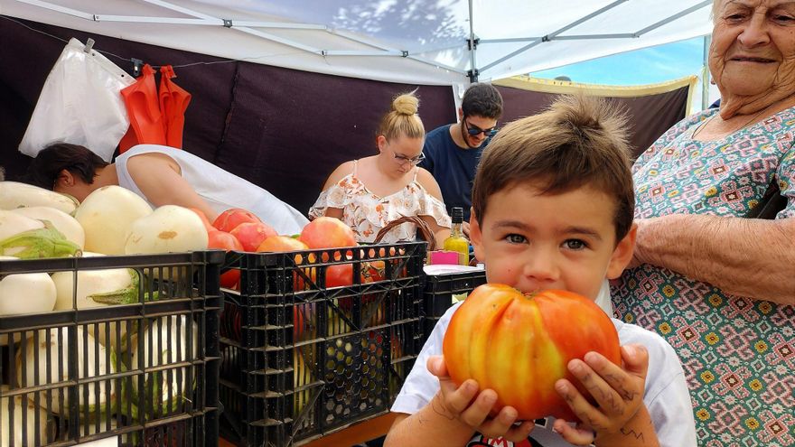 Monesterio acogió la XII Feria Comarcal del Huerto