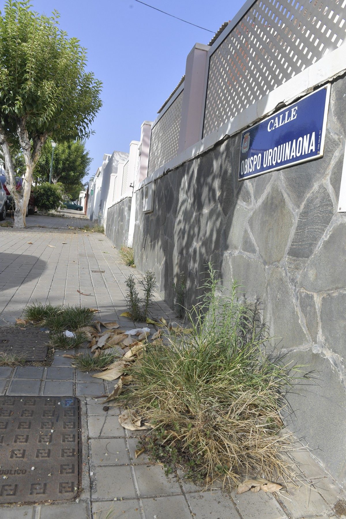 Hierbas en aceras de las calles de Escaleritas