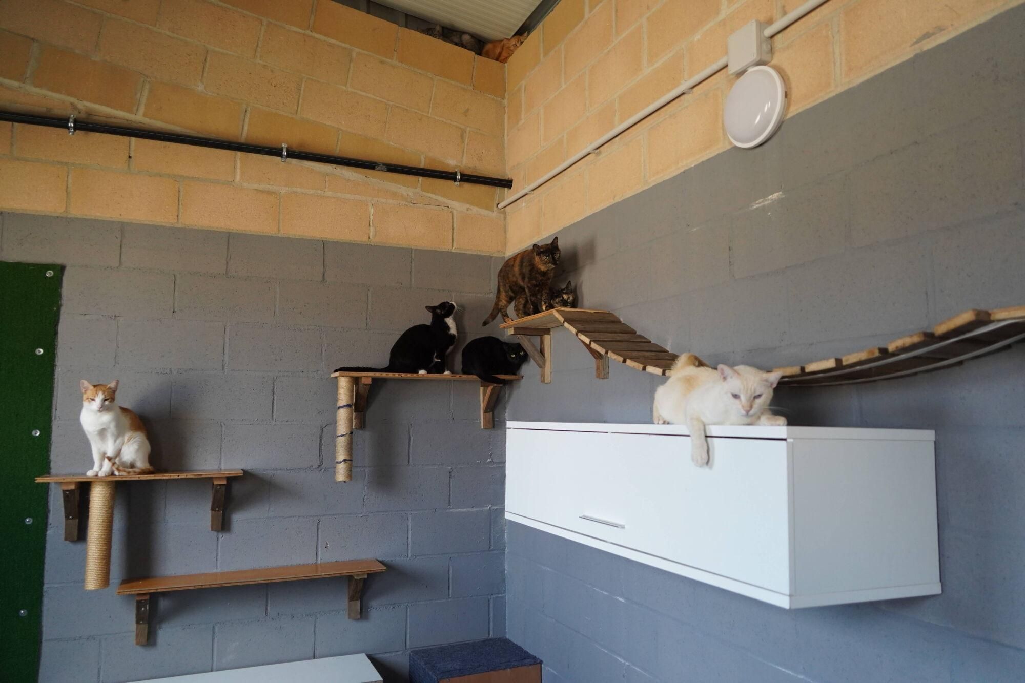 Visita a las instalaciones del nuevo Centro de Protección Animal