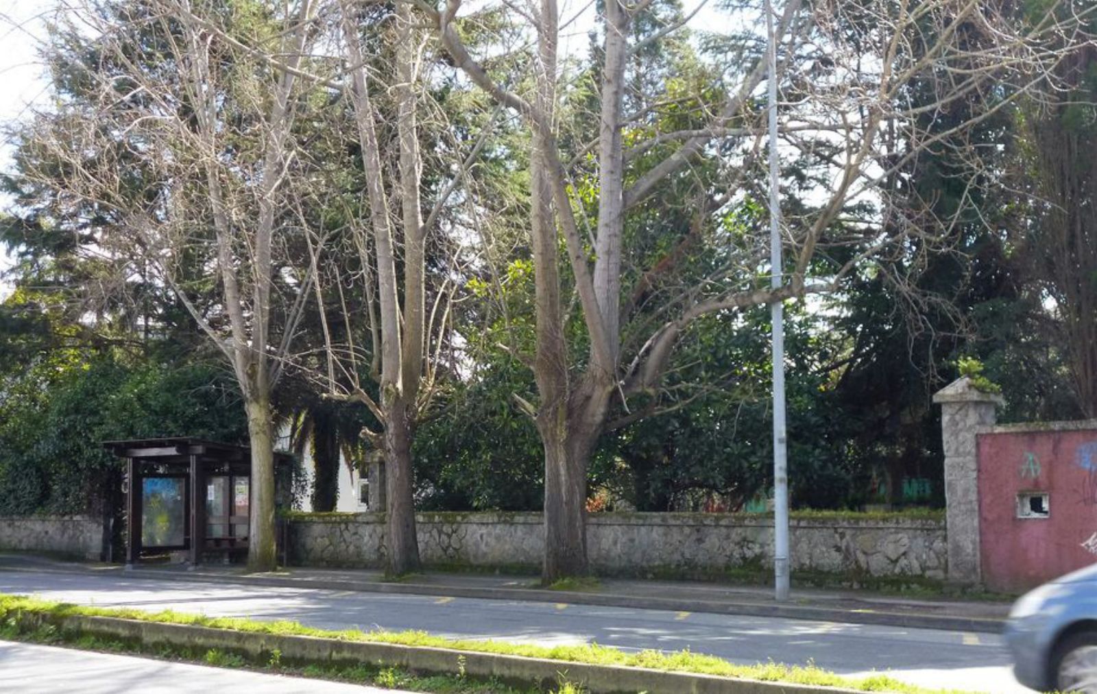 Al fondo, arbolado en los dos solares antes de ser desbrozados para el supermercado en Perillo