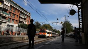 Un senglar mort causa retards de més de mitja hora a la línia R4 de Rodalies a Barcelona