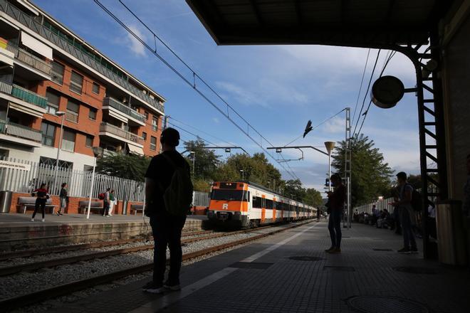 Un senglar mort causa retards de més de mitja hora a la línia R4 de Rodalies a Barcelona