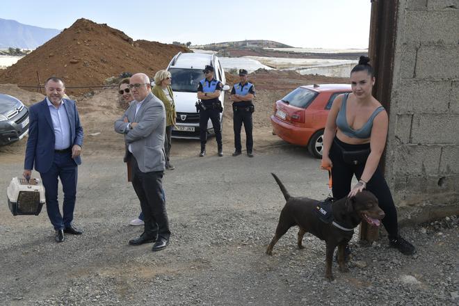 Gáldar tendrá en El Sobradillo un albergue para perros, gatos, ovejas y hasta caballos