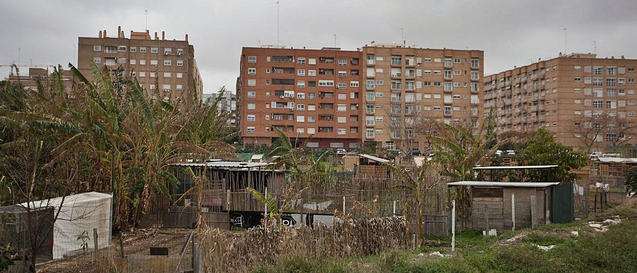 Los huertos urbanos de Benimaclet. | F. BUSTAMANTE