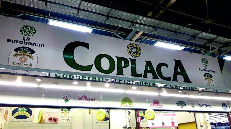 Coplaca continúa con su crecimiento y afianza mercado en la Península