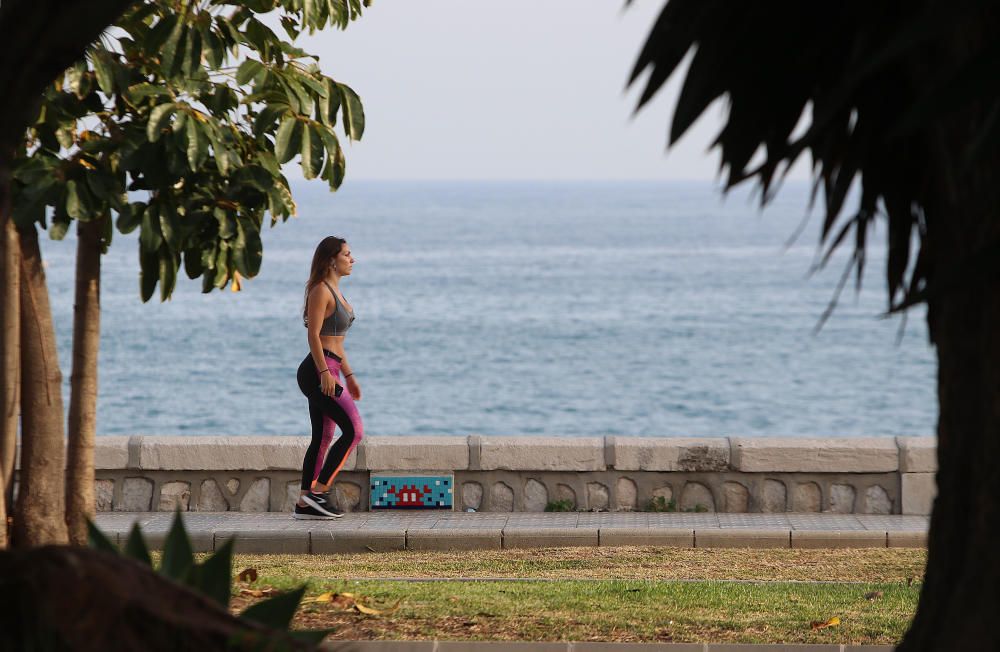 En el paseo marítimo de La Malagueta