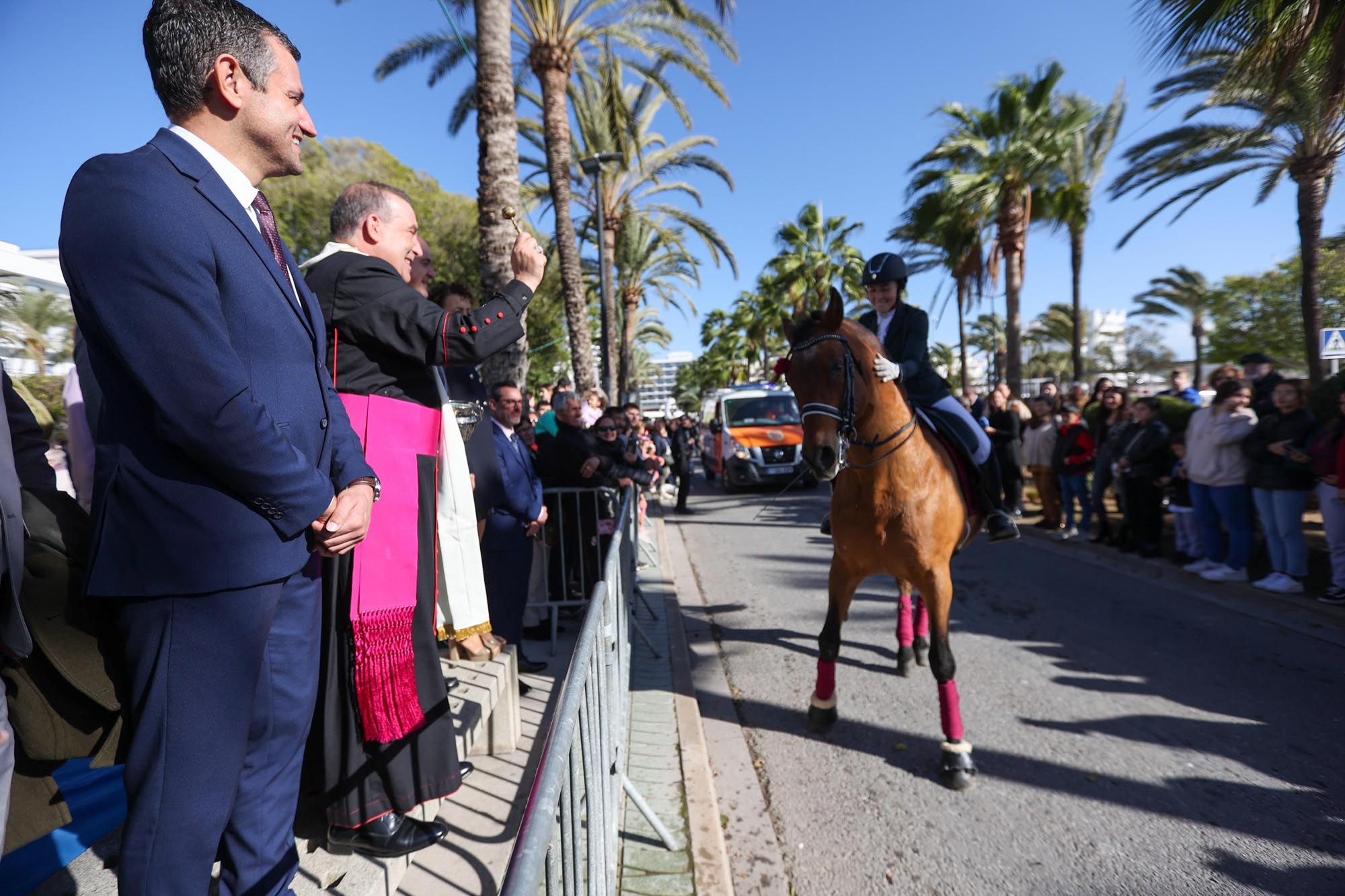 Todas las imágenes de la bendición de animales y el día grande de las fiestas de Sant Antoni