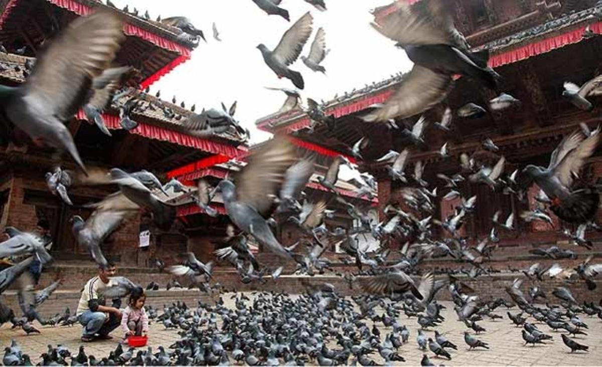 Un home nepalès ajuda el seu fill a donar menjar als coloms abans d’una marxa a la plaça Hanumanddhoka Durbar, al Nepal, per commemorar aquest dilluns el Dia del Patrimoni Mundial. Centenars de nens, sacerdots ètnics i locals assisteixen a la trobada que va ser organitzada pel Departament d’Arqueologia del Nepal.