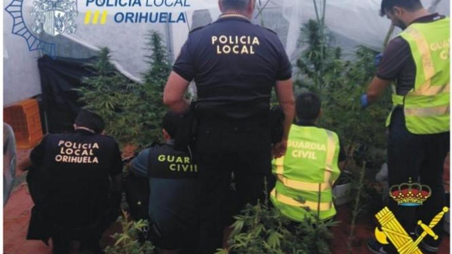 Agentes de la Policía Local y de la Guardia Civil inspeccionan el lugar donde se cultivaban las plantas de marihuana