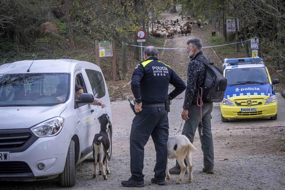 Punto de control de la peste porcina africana en un camino del término municipal de Cerdanyola del Vallès.