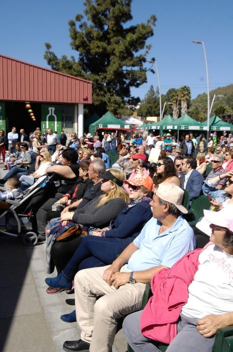 Feria de productos de la tierra en San Mateo