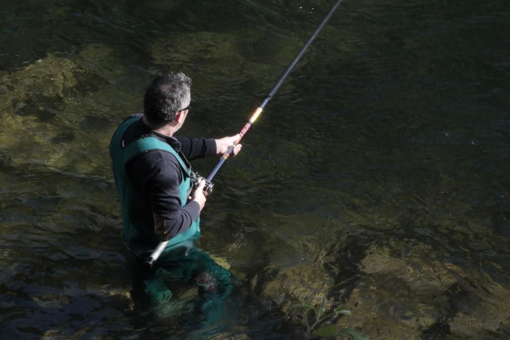 El salmón no pica en el Lérez