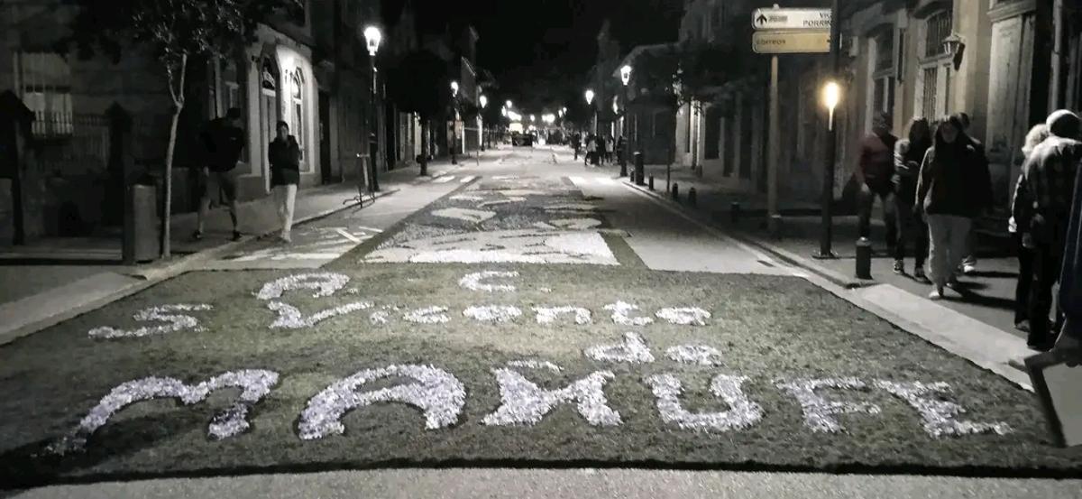 Las alfombras antes de ser destrozadas
