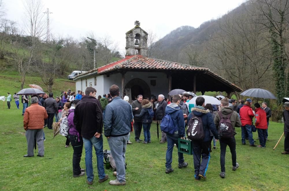 Romería en Piedracea, fiestas de la Flor de Lena