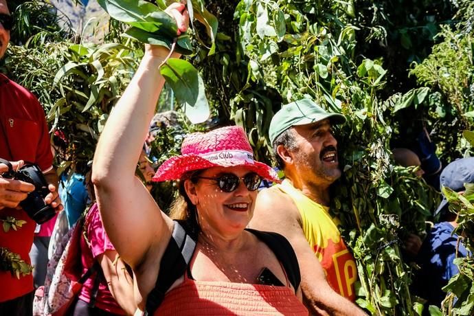 28.06.18. AGAETE.  BAJADA DE LA RAMA, EL VALLE ...