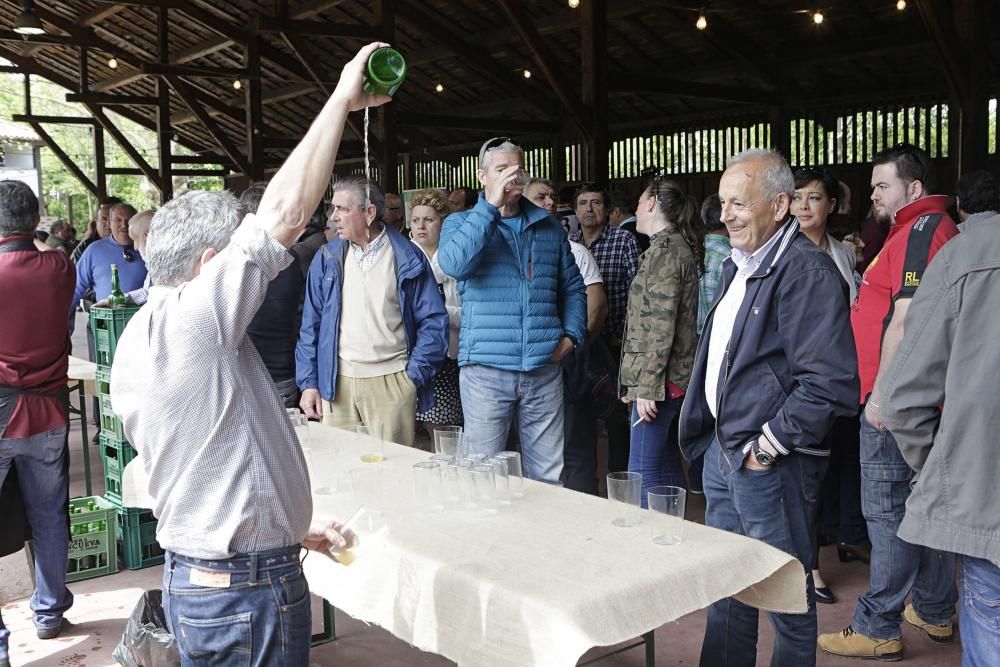 Presentación de la cosecha 2015 de sidra