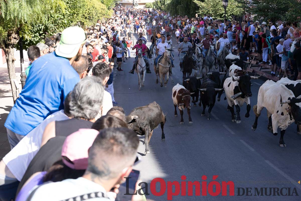 Último encierro en las Fiestas de Moratalla