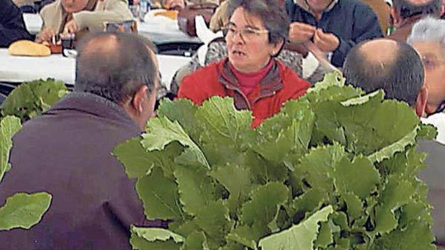 Feria de exaltación del grelo en Xestoso.  // J. Antón