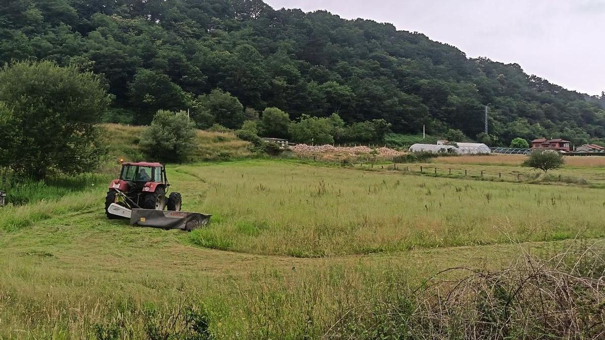 La preparación del terreno para la fiesta.