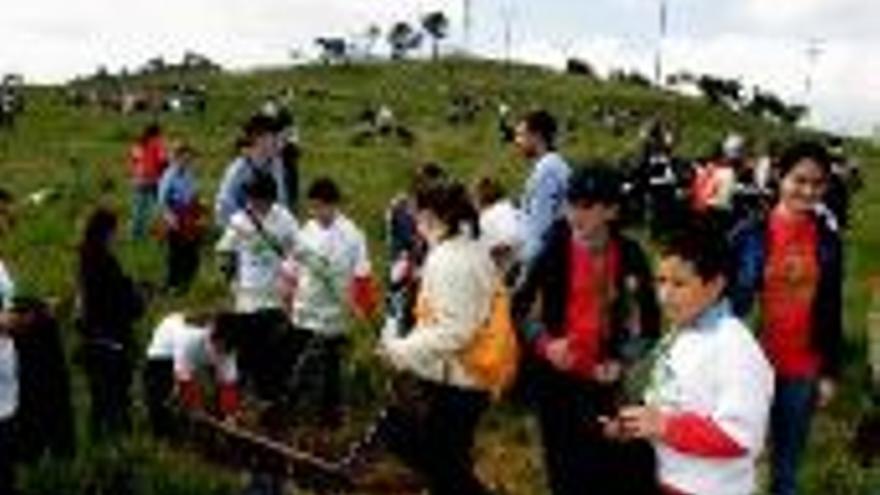 Jóvenes reforestan el cerro de los Pinos