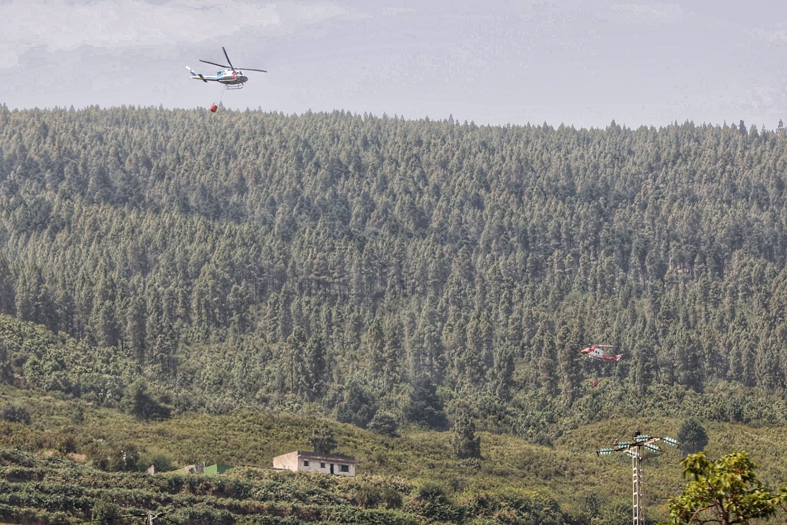 Incendio del norte de Tenerife (25/07/2022)