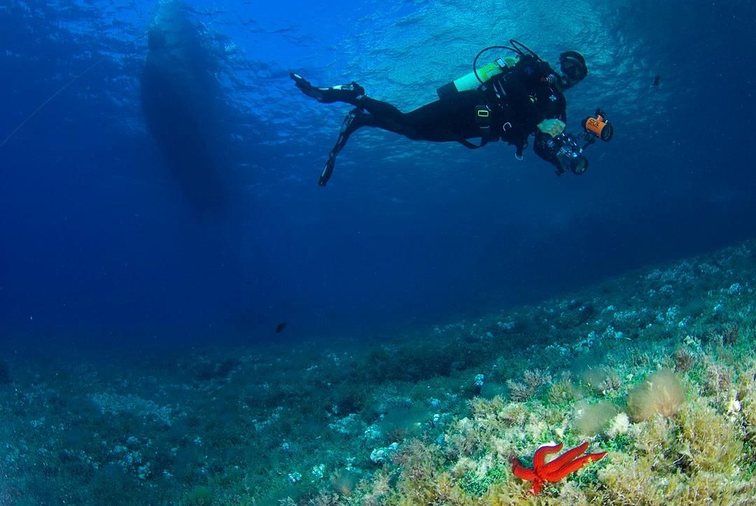 FOTOS | Calvià es uno de los mejores lugares de España para iniciarse en el mundo del submarinismo
