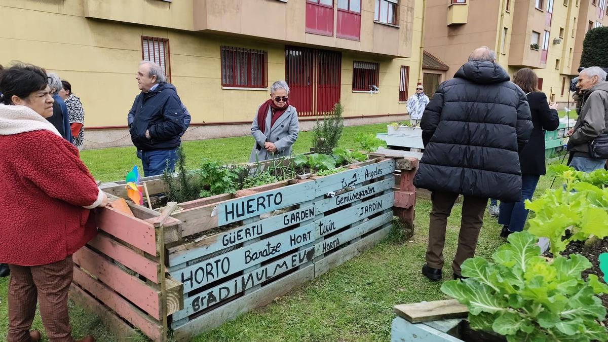 El nuevo huerto urbano de la zona oeste de Gijón, en imágenes