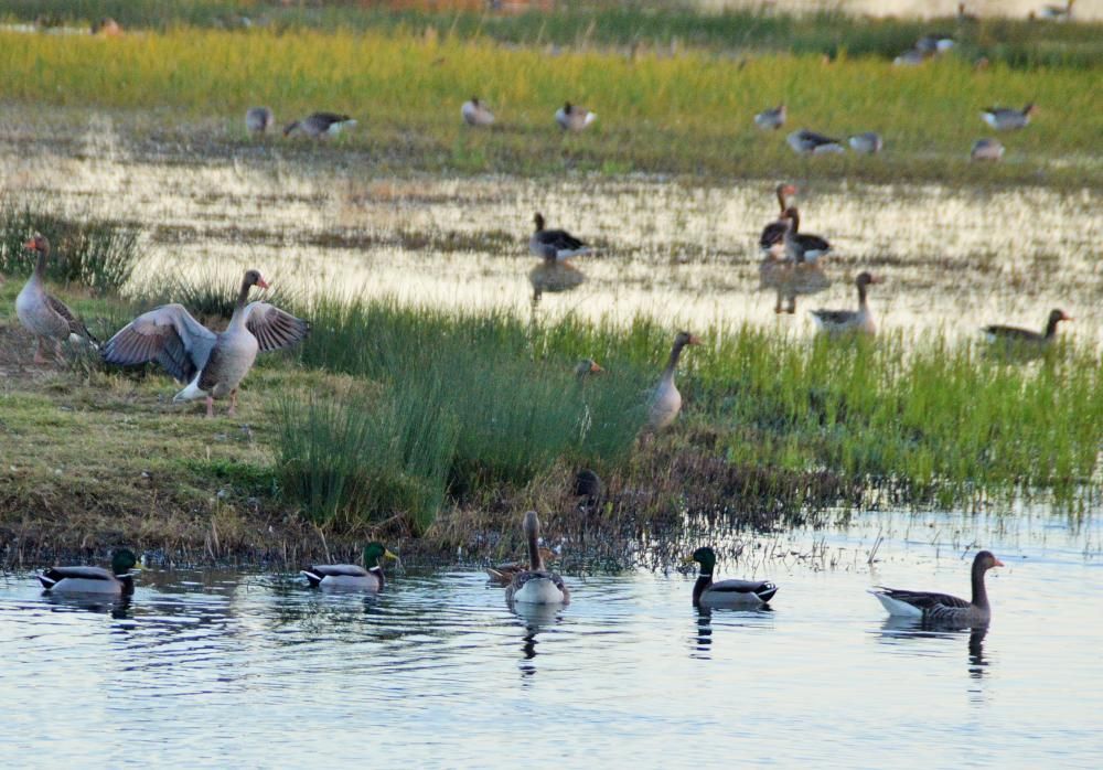 Entre la Muga i el Fluvià, territorri per visitar