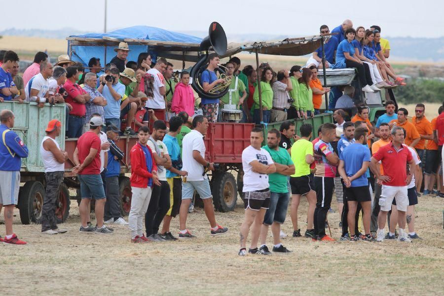 Segundo encierro taurino en Guarrate