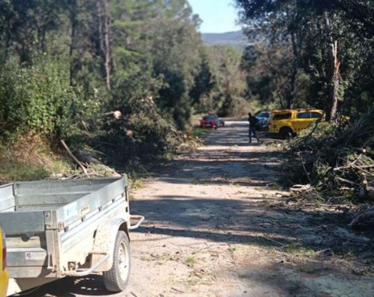 Jornada de treball a Sant Ferriol per anar obrint camins i acabant de acondicionar les zones afectades per la caiguda d'arbres degut a les ventades del cap de setmana