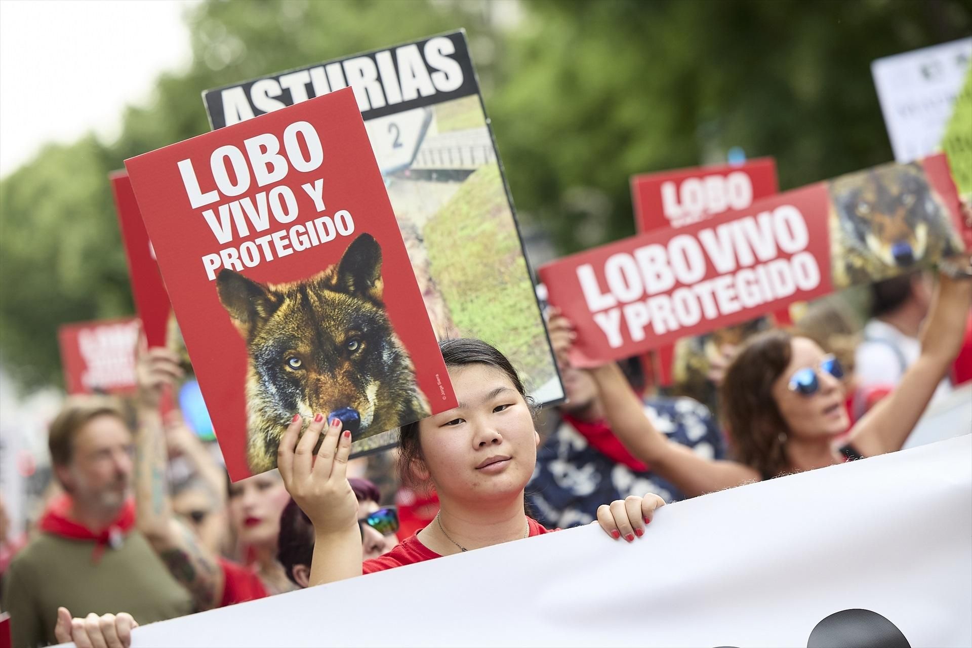 Las imágenes de la manifestación en Madrid por el lobo