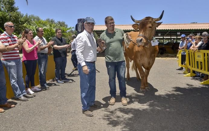 ARUCAS GRAN CANARIA A 28/05/2017 Entrega de premios concurso de ganado del Cabildo de Gran Canaria. FOTO: J.PÉREZ CURBELO