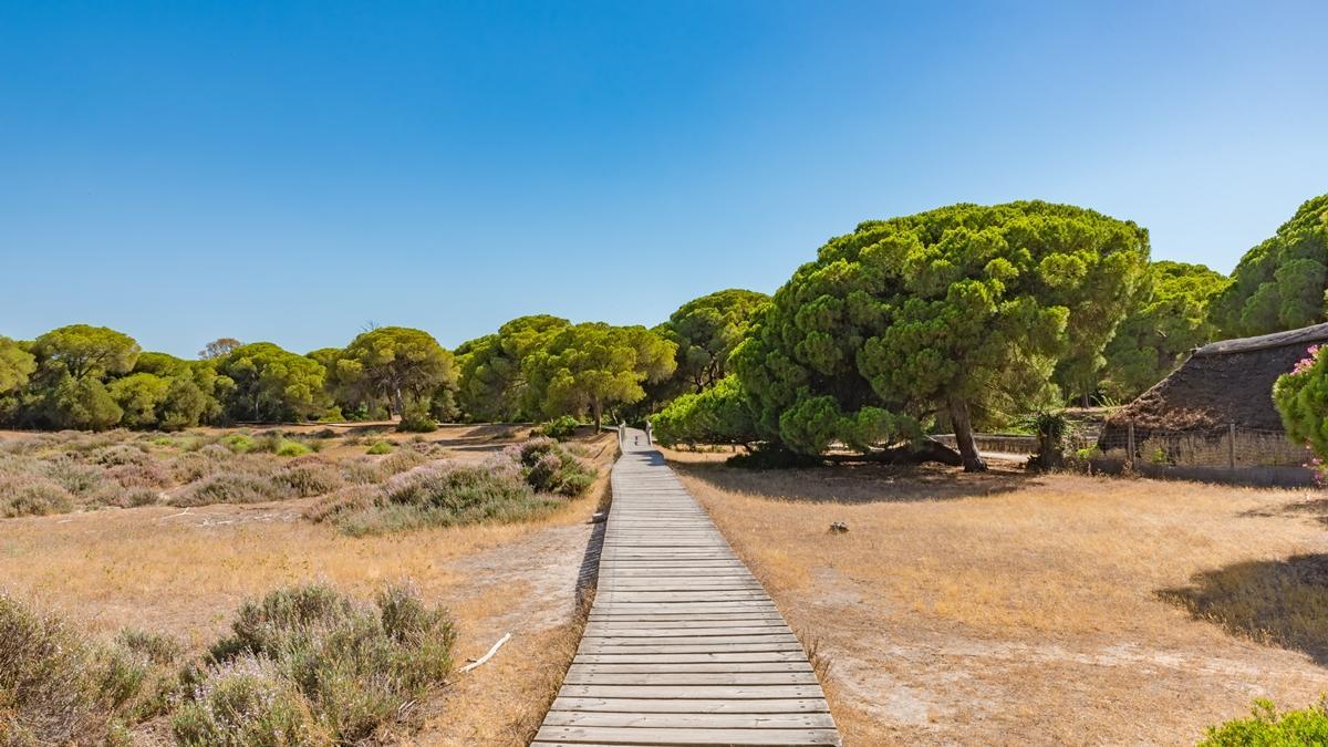 El Parque Nacional de Doñana, situado en las provincias de Huelva y Sevilla, es una parada obligatoria