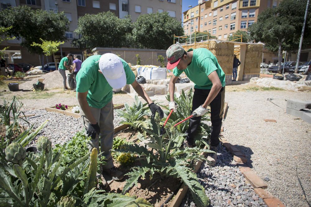 Hort interdisciplinari a l'IES Maltide Salvador de Castelló