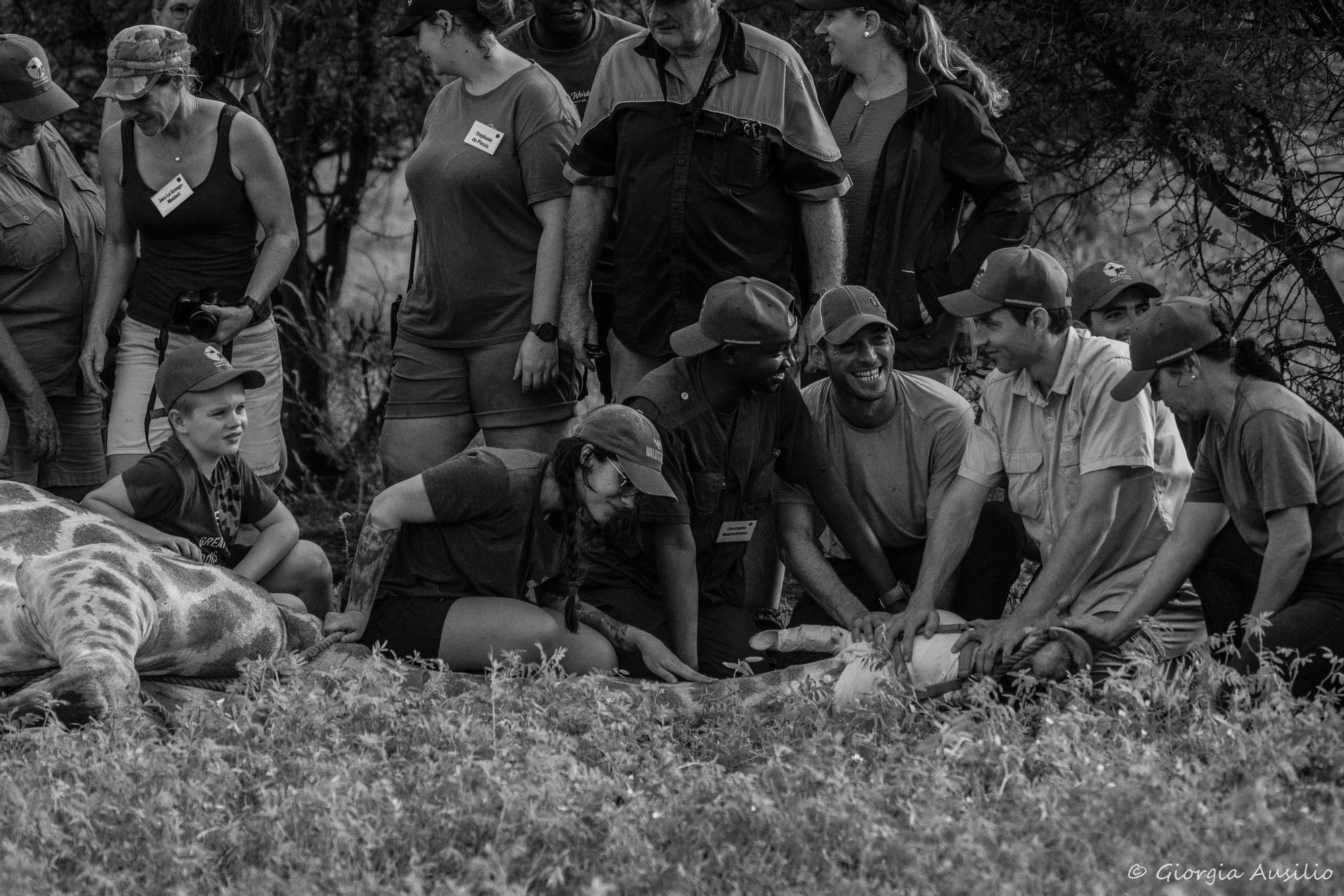 Trabajos de Elena Alonso contra el furtivismo en África
