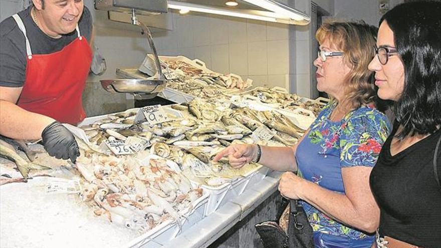 Calamar, indispensable en la cocina marinera